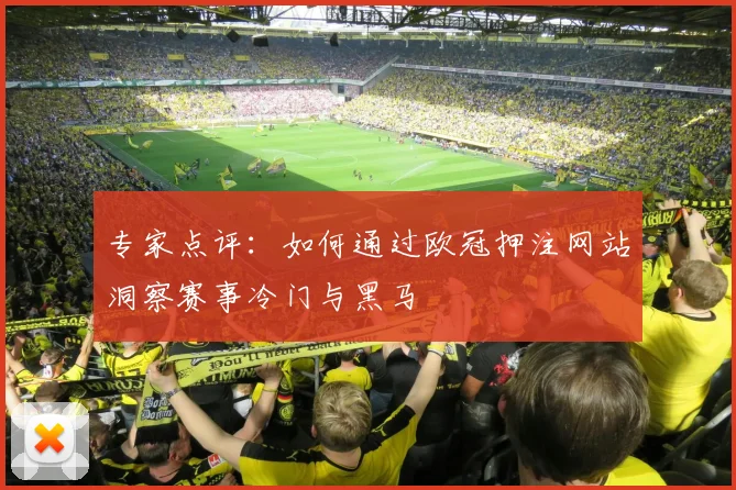 专家点评：如何通过欧冠押注网站洞察赛事冷门与黑马