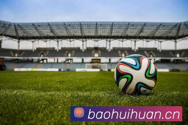 开云kaiyun网站平台生态图